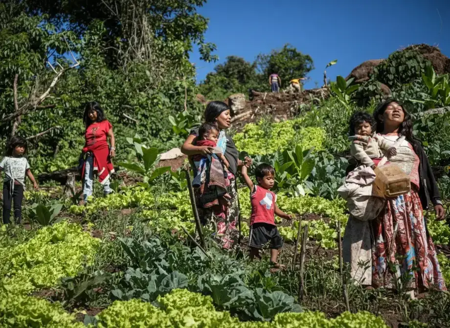 The Guaraní language: the only majority indigenous language in the Americas